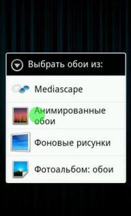 Video Live Wallpaper 1.01. Скриншот 3