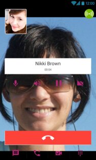 Vippie 3.1.5. Скриншот 7
