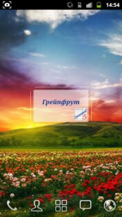 Грамотей! – викторина орфографии 5.7.0. Скриншот 15