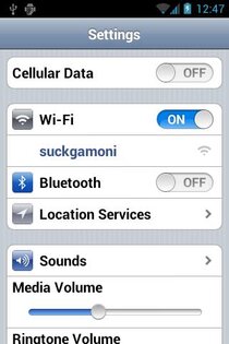 iSettings 1.0.0.3. Скриншот 2