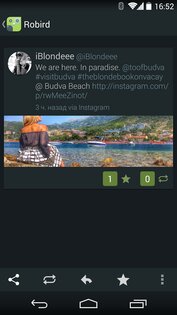 Robird 2.3.5. Скриншот 3
