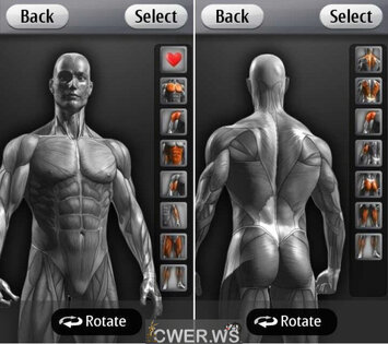 Barbell Gym Tracker 1.3. Скриншот 1