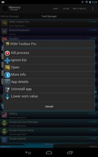 Memory Manager 1.0.1. Скриншот 3