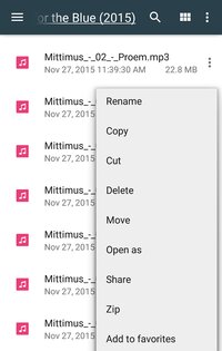 File Commander 10.7.54240. Скриншот 3