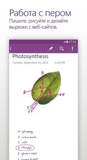 OneNote 16.0.19127.20320. Скриншот 2