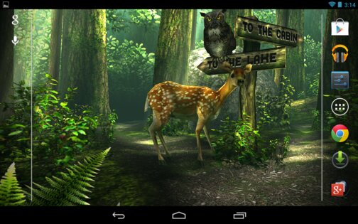 Forest HD 1.2. Скриншот 1