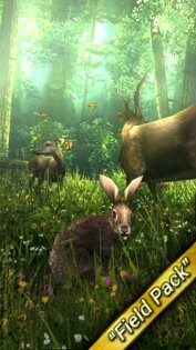 Forest HD 1.2. Скриншот 6