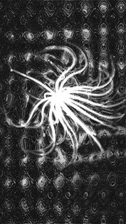 Morphyre Music Visualizer 1.64. Скриншот 4