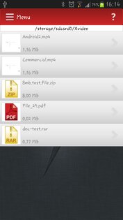 FVD 4.5.7. Скриншот 3