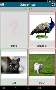 Выучить 50 языков 16.3. Скриншот 7