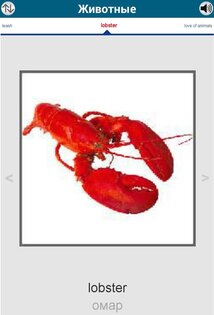 Выучить 50 языков 16.3. Скриншот 14