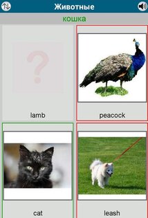 Выучить 50 языков 16.3. Скриншот 15