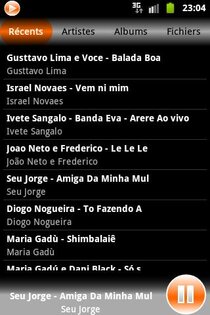 Zoinz Player 1.1. Скриншот 2