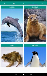 Звуки животных 3.9.1. Скриншот 5