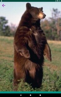 Звуки животных 3.9.1. Скриншот 6