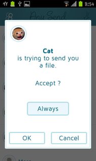 Any Send 1.2.4. Скриншот 2