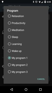 Mindroid 8.1. Скриншот 5
