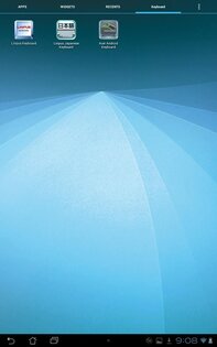 Linpus Launcher 2.82. Скриншот 18