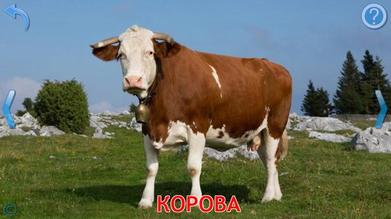 Животные для Малышей 9.6.2. Скриншот 19