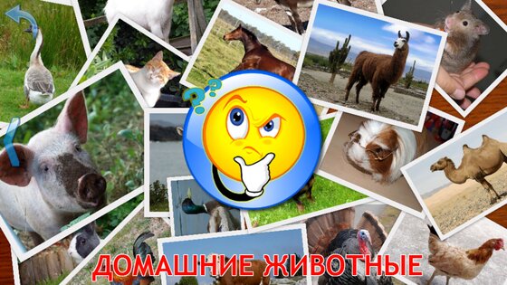 Животные для Малышей 9.6.4. Скриншот 21