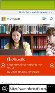 Fake Internet Explorer 1.0. Скриншот 2