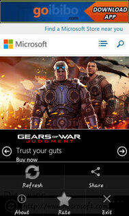 Fake Internet Explorer 1.0. Скриншот 1