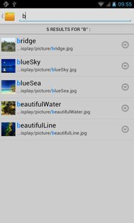 File Manager Borqs 0.5.36.1762. Скриншот 6