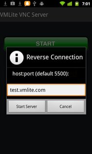 VMLite VNC Server 2.2.4. Скриншот 6