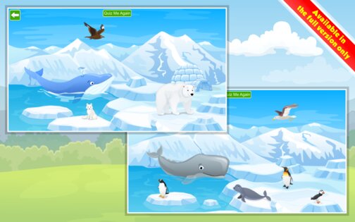 Kids Learn about Animals 2.4.2. Скриншот 24