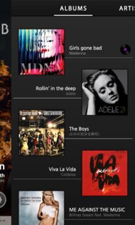 LPIN Player 1.0.19 PRO. Скриншот 7