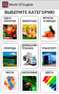 World Of English 1.2.1. Скриншот 1