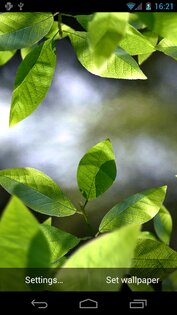 Fresh Leaves Live Wallpaper 1.8. Скриншот 1