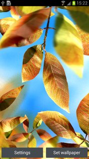 Fresh Leaves Live Wallpaper 1.8. Скриншот 6