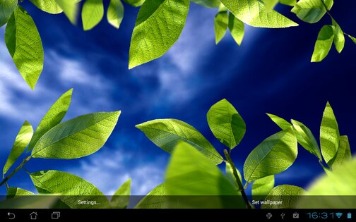 Fresh Leaves Live Wallpaper 1.8. Скриншот 10