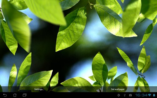 Fresh Leaves Live Wallpaper 1.8. Скриншот 11