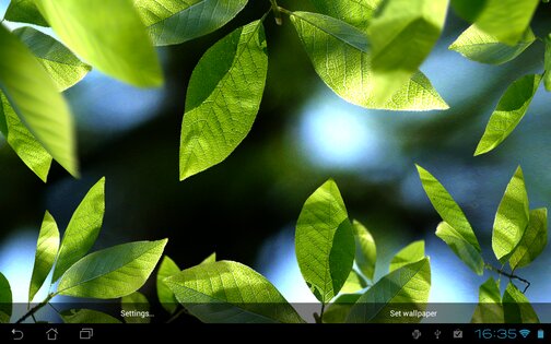 Fresh Leaves Live Wallpaper 1.8. Скриншот 19