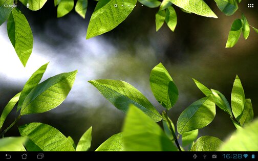 Fresh Leaves Live Wallpaper 1.8. Скриншот 20