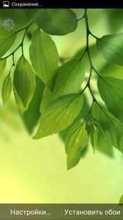 Galaxy S4 Leaf Animated 1.0.0. Скриншот 2