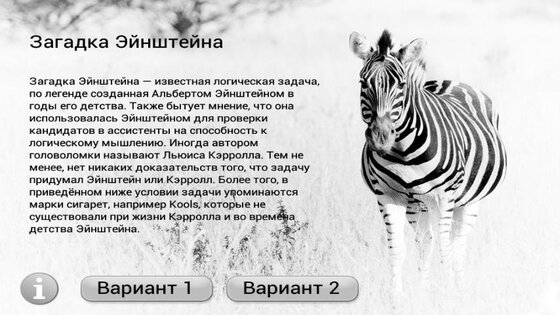 Загадка Эйнштейна 2.0. Скриншот 1