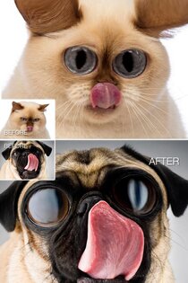 Enhance Booth Free 1.0.11. Скриншот 5