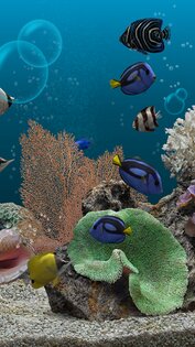 Marine Aquarium 3.3.21. Скриншот 4
