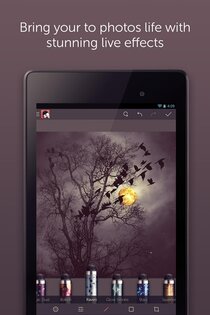 Repix 1.5.9. Скриншот 14