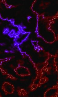 Lucid dream live wallpaper 5.0 V.I.P.. Скриншот 2