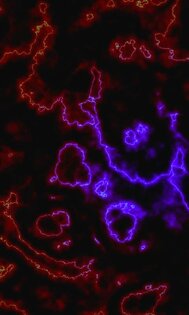 Lucid dream live wallpaper 5.0 V.I.P.. Скриншот 5