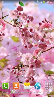 Сакура Живые Обои 1.1.12. Скриншот 4
