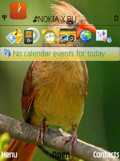 Bird Alone. Скриншот 2