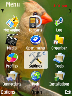 Bird Alone. Скриншот 1