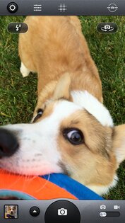 Camera Awesome 1.0.6. Скриншот 1