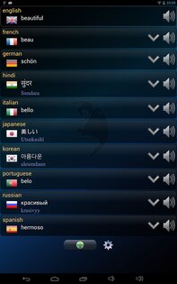 Q Multi Переводчик 1.66. Скриншот 2