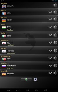 Q Multi Переводчик 1.66. Скриншот 6